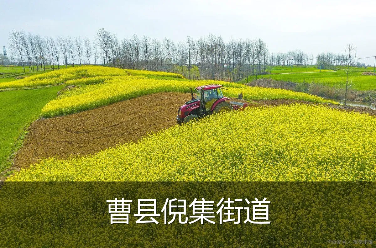 曹县倪集街道