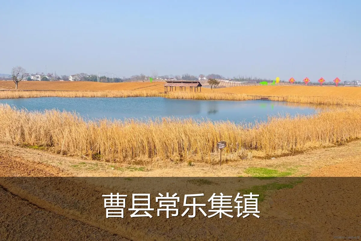 曹县常乐集镇