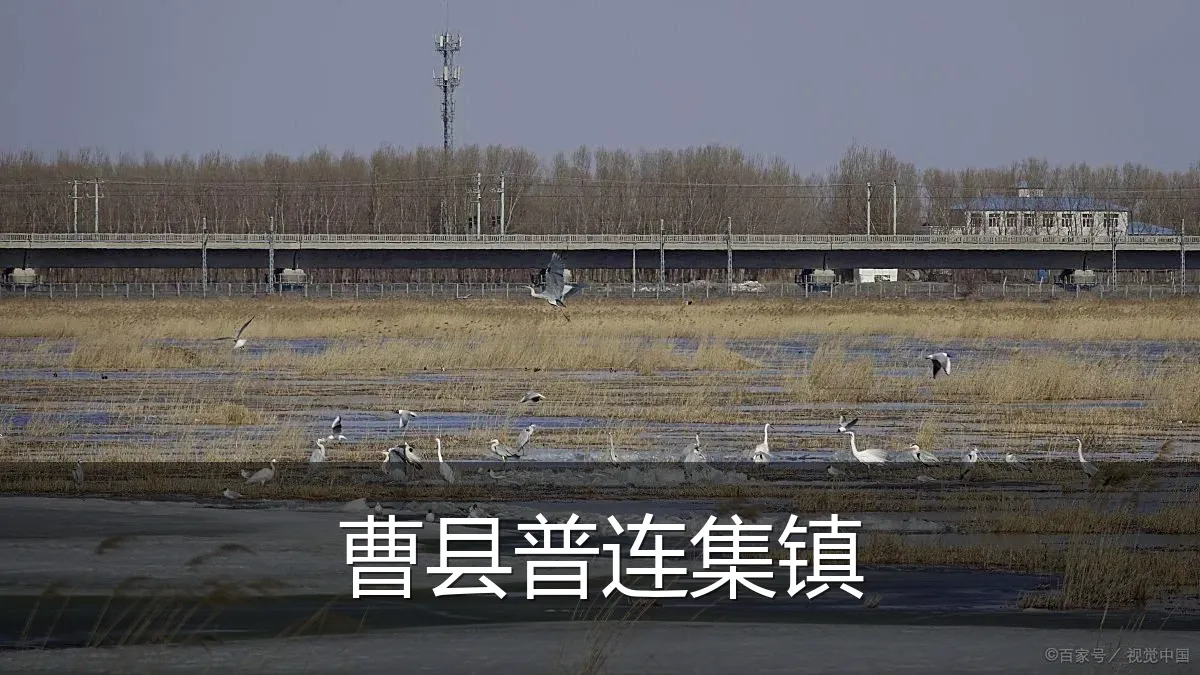曹县普连集镇