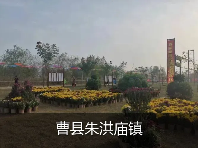 曹县朱洪庙镇