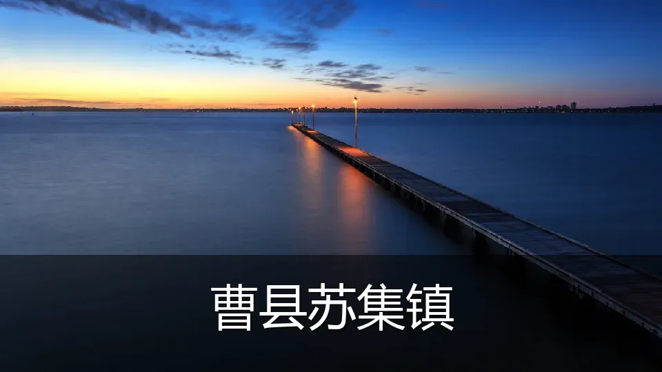 曹县苏集镇