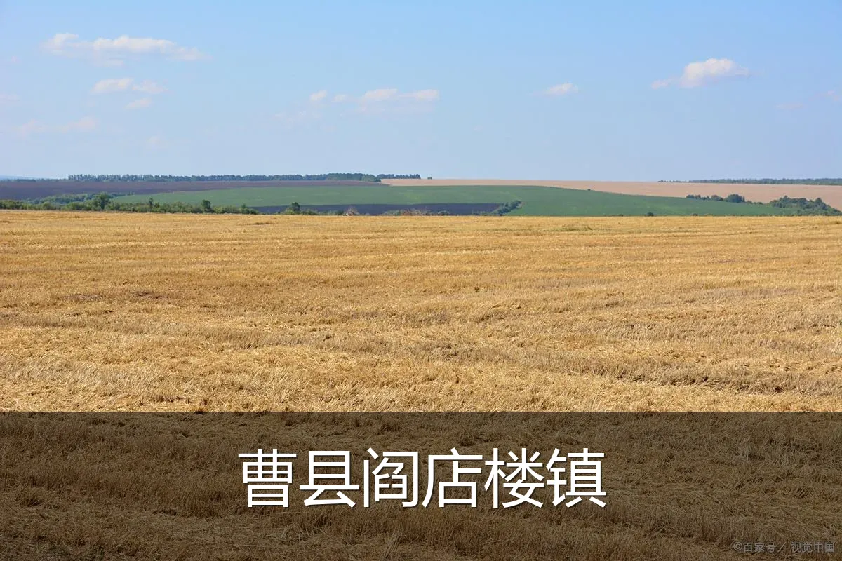 曹县阎店楼镇